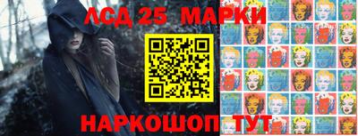 шишки Новодвинск