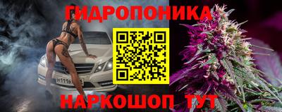 бошки Новозыбков