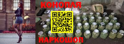 шишки Новодвинск