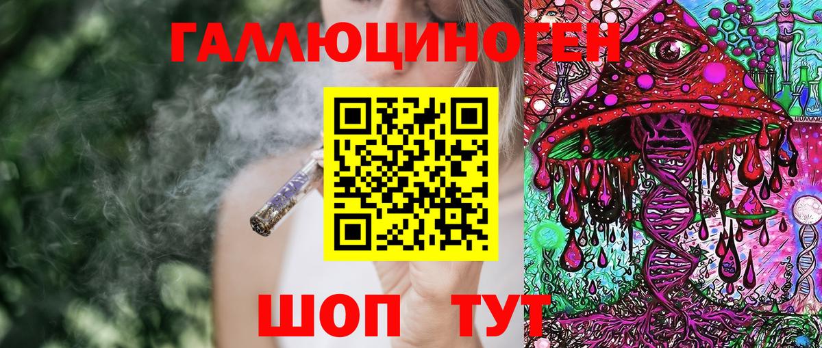Сосновый Бор  Псилоцибиновые грибы прущие грибы  купить закладку  Вход с VPN  Галлюциногенные грибы Cubensis 