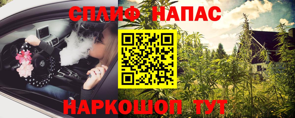 Шишки марихуана OG Kush Сосновый Бор